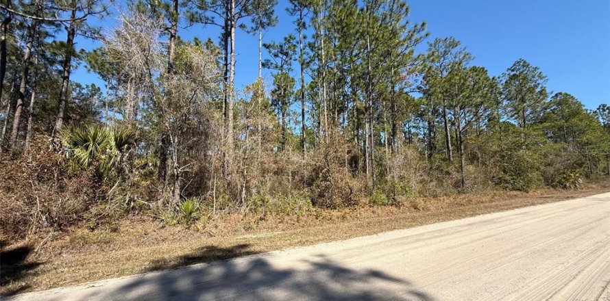 Land in Bunnell, Florida № 2213044