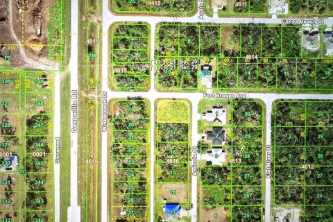 Land in Port Charlotte, Florida № 2165575 - photo 3