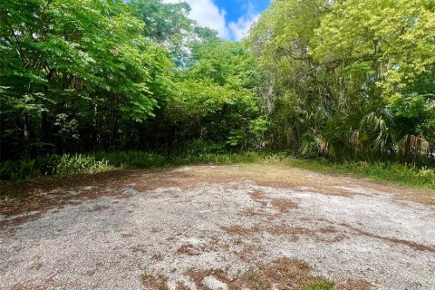 Commercial property in Orange City, Florida 34.84 sq.m. № 1649446 - photo 14