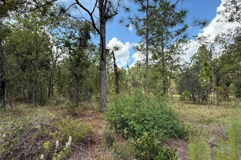 Terrain à Dunnellon, Floride № 2235325
