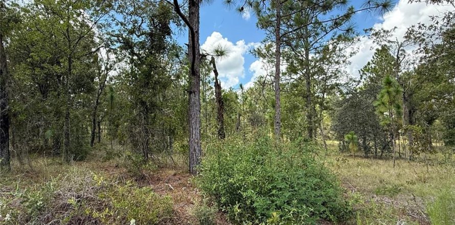 Terrain à Dunnellon, Floride № 2235325