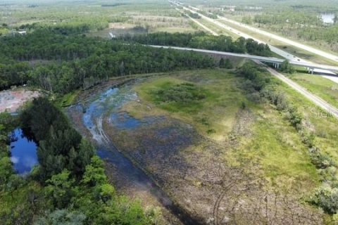 Land in Punta Gorda, Florida № 1768005 - photo 15