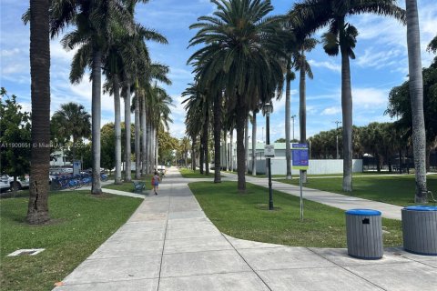 Condominio en alquiler en Miami Beach, Florida, 1 dormitorio, 62.34 m2 № 1952068 - foto 13