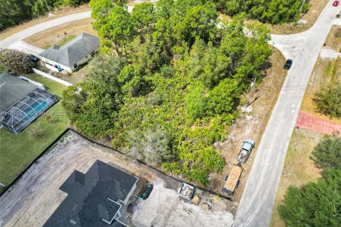 Land in Lehigh Acres, Florida № 2158615 - photo 9