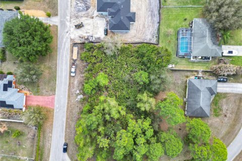 Land in Lehigh Acres, Florida № 2158615 - photo 4