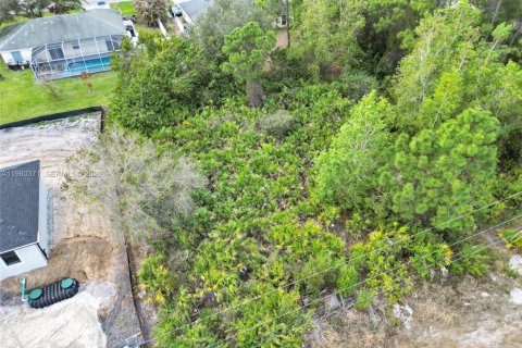 Land in Lehigh Acres, Florida № 2158615 - photo 10