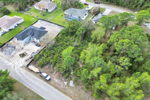 Land in Lehigh Acres, Florida № 2158615