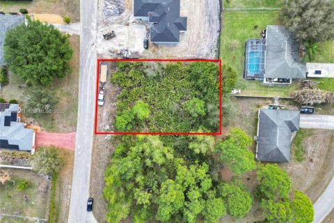 Land in Lehigh Acres, Florida № 2158615 - photo 12