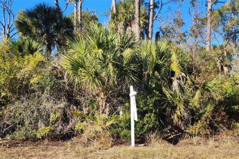 Terreno en venta en Port Charlotte, Florida № 2228806 - foto 9