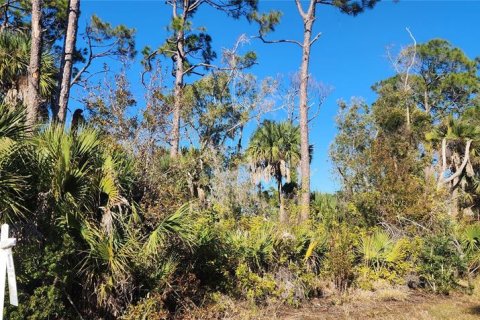 Terreno en venta en Port Charlotte, Florida № 2228806 - foto 6