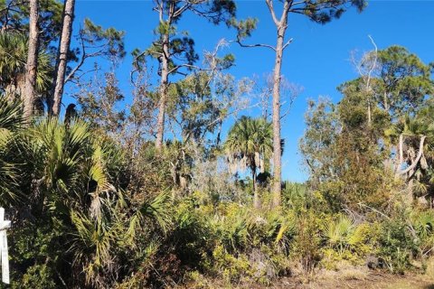Terreno en venta en Port Charlotte, Florida № 2228806 - foto 7