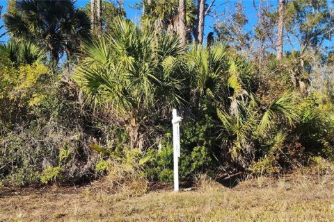 Terreno en venta en Port Charlotte, Florida № 2228806 - foto 8