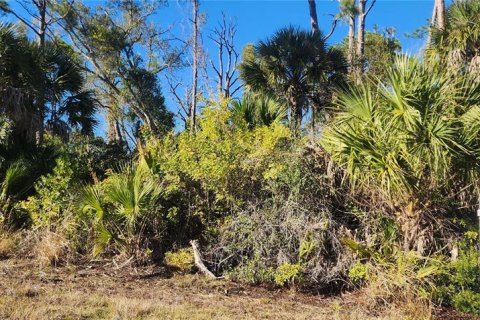Terreno en venta en Port Charlotte, Florida № 2228806 - foto 10