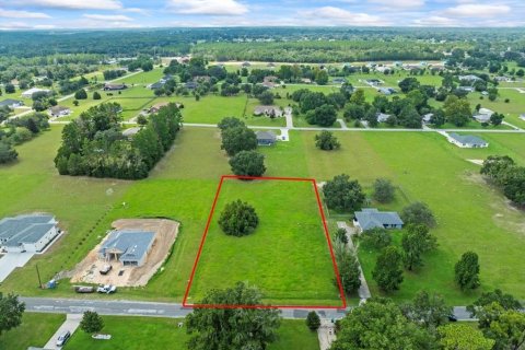 Купить земельный участок в Эрнандо, Флорида № 1916728 - фото 8