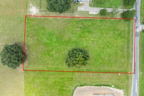 Купить земельный участок в Эрнандо, Флорида № 1916728 - фото 4