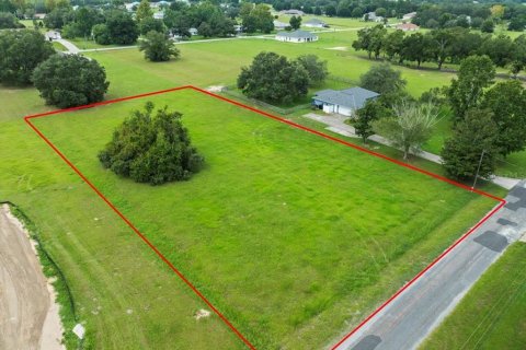 Купить земельный участок в Эрнандо, Флорида № 1916728 - фото 5