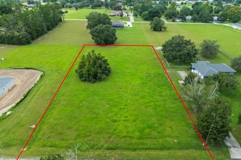 Купить земельный участок в Эрнандо, Флорида № 1916728 - фото 6