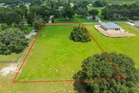 Купить земельный участок в Эрнандо, Флорида № 1916728 - фото 2