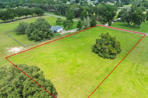 Купить земельный участок в Эрнандо, Флорида № 1916728 - фото 3