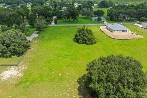 Купить земельный участок в Эрнандо, Флорида № 1916728 - фото 11