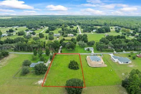 Купить земельный участок в Эрнандо, Флорида № 1916728 - фото 9
