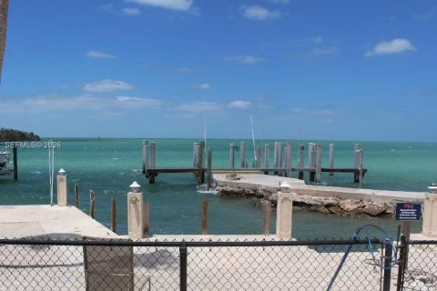 Casa en venta en Marathon, Florida, 3 dormitorios, 138.7 m2 № 2042845 - foto 9