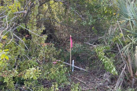 Land in North Port, Florida № 2163062 - photo 3