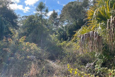 Land in North Port, Florida № 2163062 - photo 2