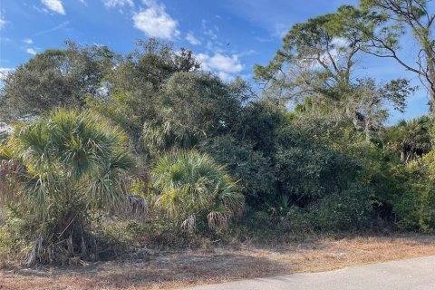 Land in North Port, Florida № 2163062