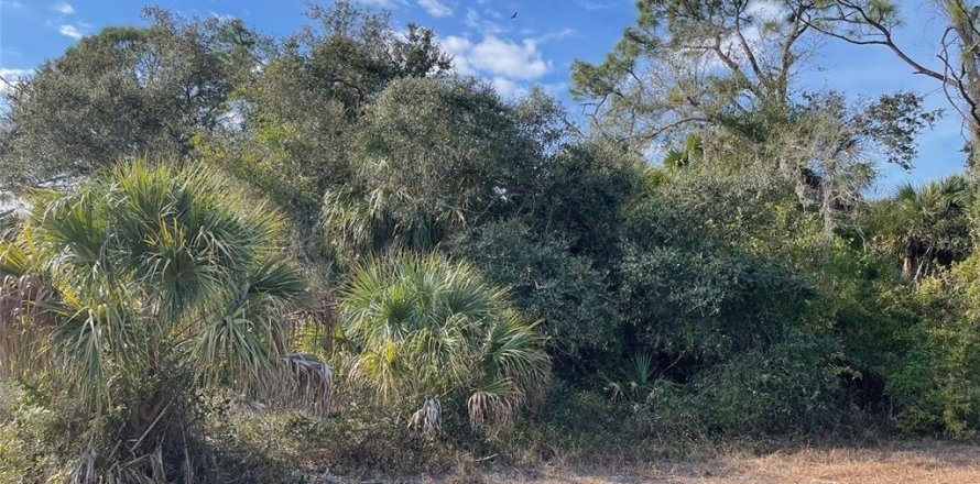 Land in North Port, Florida № 2163062