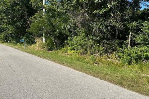 Land in Punta Gorda, Florida № 2225675 - photo 2