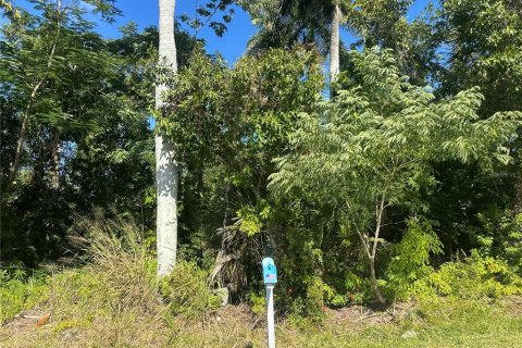 Land in Punta Gorda, Florida № 2225675 - photo 3