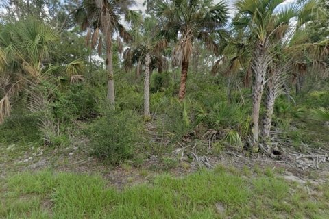 Land in Port Charlotte, Florida № 2228743