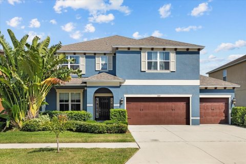 House in BELMONT in Ruskin, Florida 6 bedrooms, 413.23 sq.m. № 1721902 - photo 1