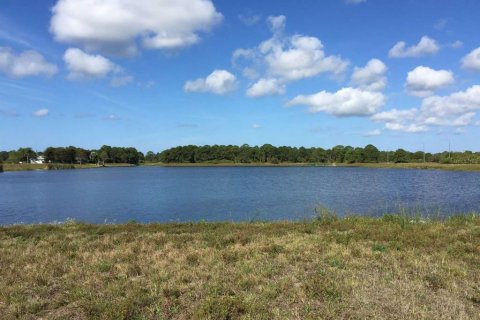 Land in Placida, Florida № 1686434 - photo 3