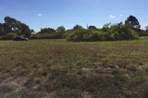 Land in Placida, Florida № 1686434 - photo 4