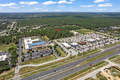 Land in Brooksville, Florida № 1831189 - photo 28