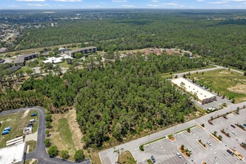 Land in Brooksville, Florida № 1831189 - photo 4