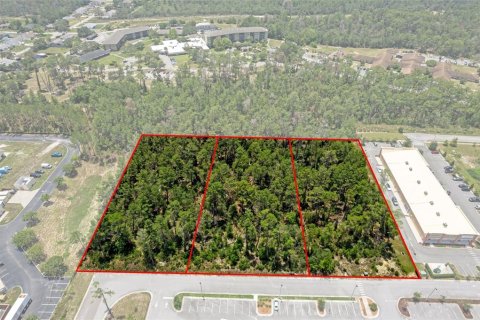 Land in Brooksville, Florida № 1831189 - photo 3