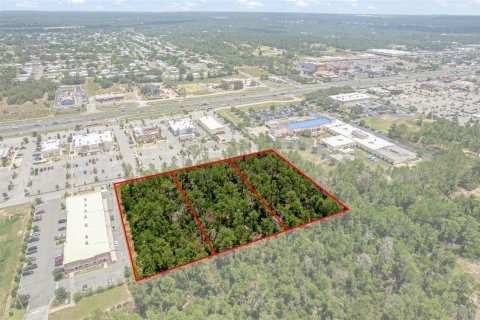 Land in Brooksville, Florida № 1831189 - photo 14