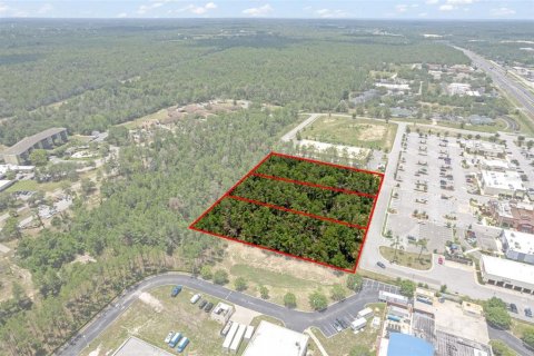 Land in Brooksville, Florida № 1831189 - photo 6