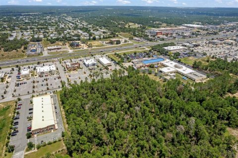 Land in Brooksville, Florida № 1831189 - photo 13