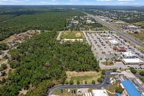 Land in Brooksville, Florida № 1831189 - photo 7