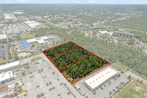 Land in Brooksville, Florida № 1831189 - photo 21