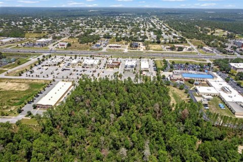 Land in Brooksville, Florida № 1831189 - photo 11