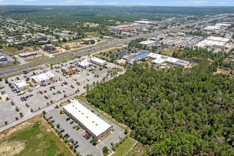 Land in Brooksville, Florida № 1831189 - photo 15