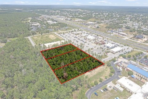 Land in Brooksville, Florida № 1831189 - photo 9