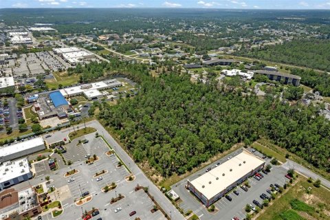 Land in Brooksville, Florida № 1831189 - photo 20