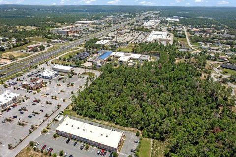 Land in Brooksville, Florida № 1831189 - photo 17