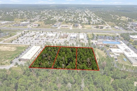 Land in Brooksville, Florida № 1831189 - photo 12